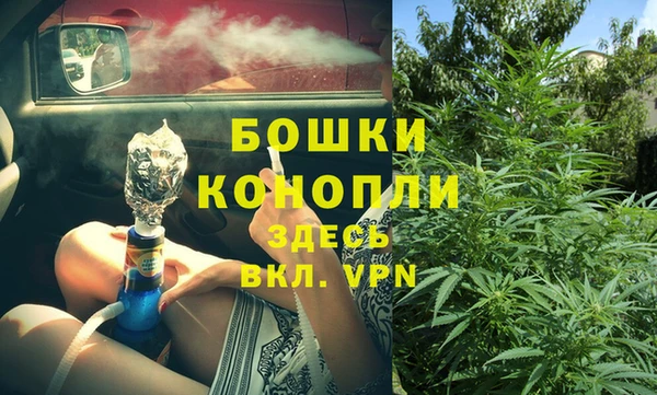 шишки Лиски