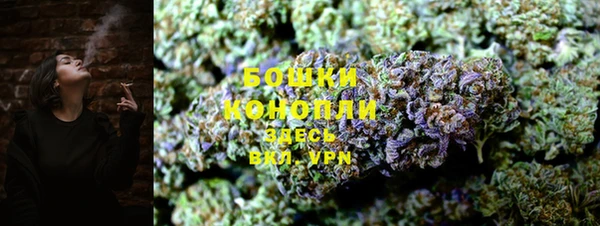 шишки Лиски