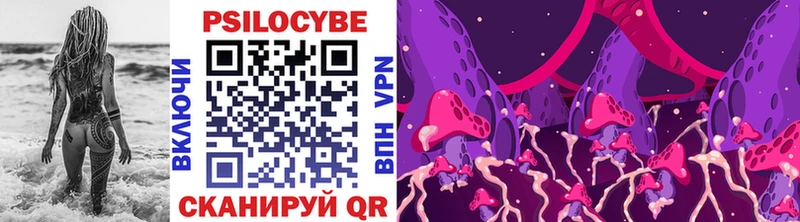 Псилоцибиновые грибы Psilocybe  купить наркотики сайты  Курлово 